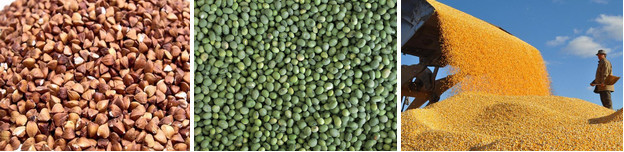 Corn, green beans, soybeans